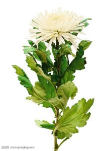 йõԣ⣺ԭɷݸٳɳ֮